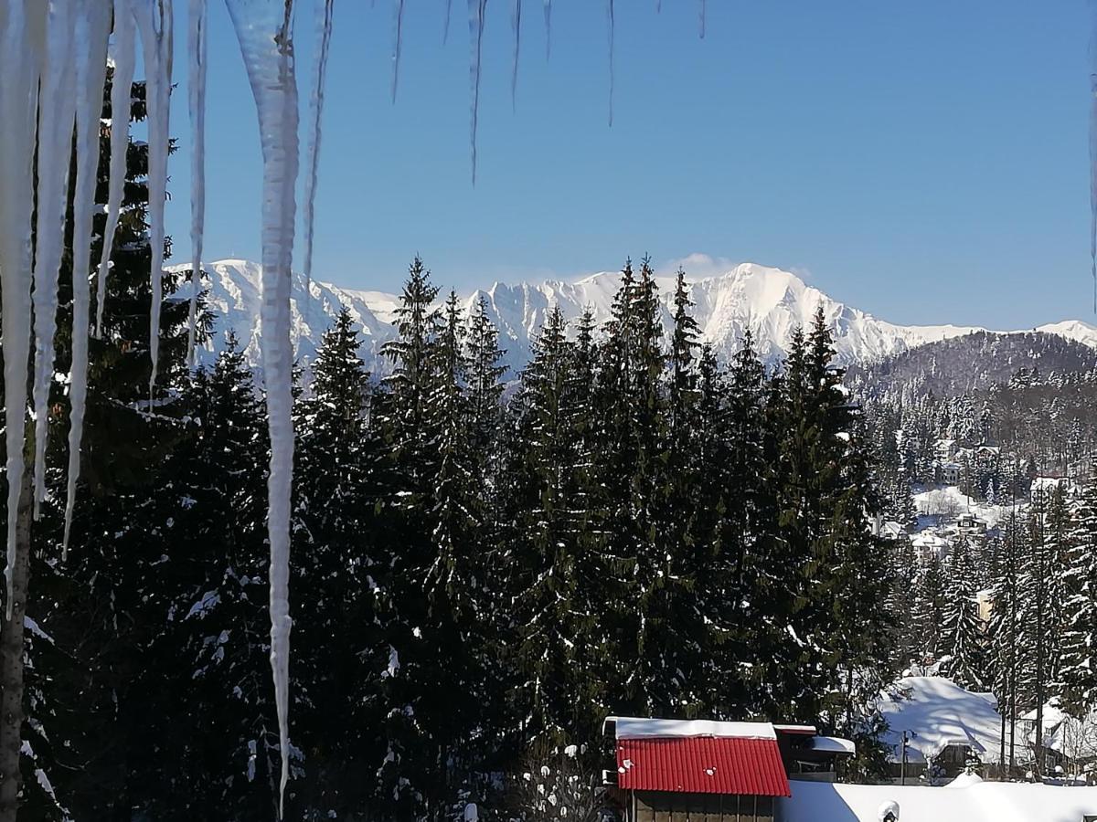 Vila Sofia Predeal Exteriör bild