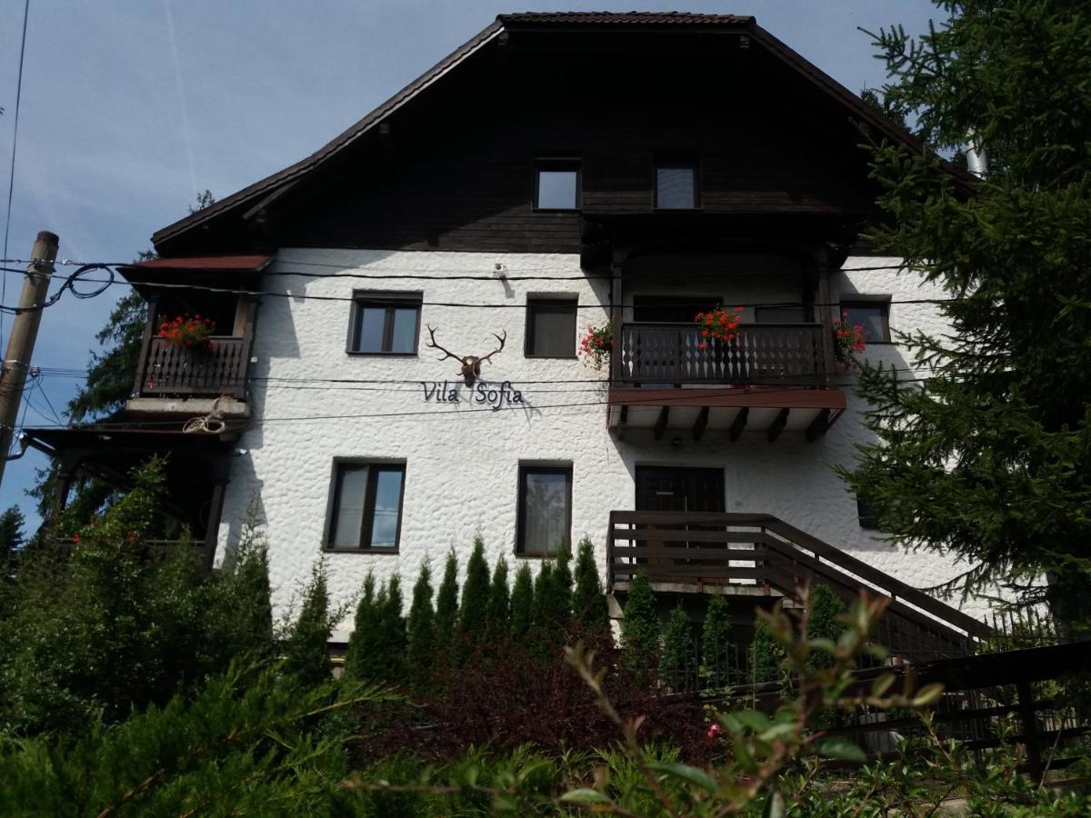 Vila Sofia Predeal Exteriör bild